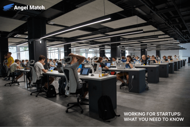 Working for Startups: What You Need to Know