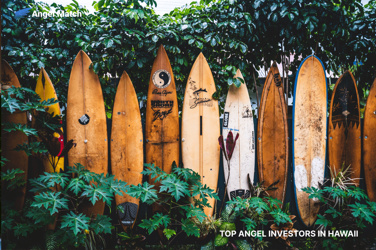 Top Angel Investors in Hawaii