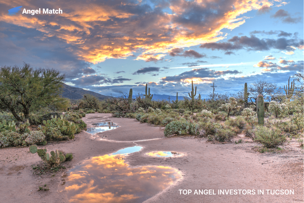 Top Angel Investors in Tucson