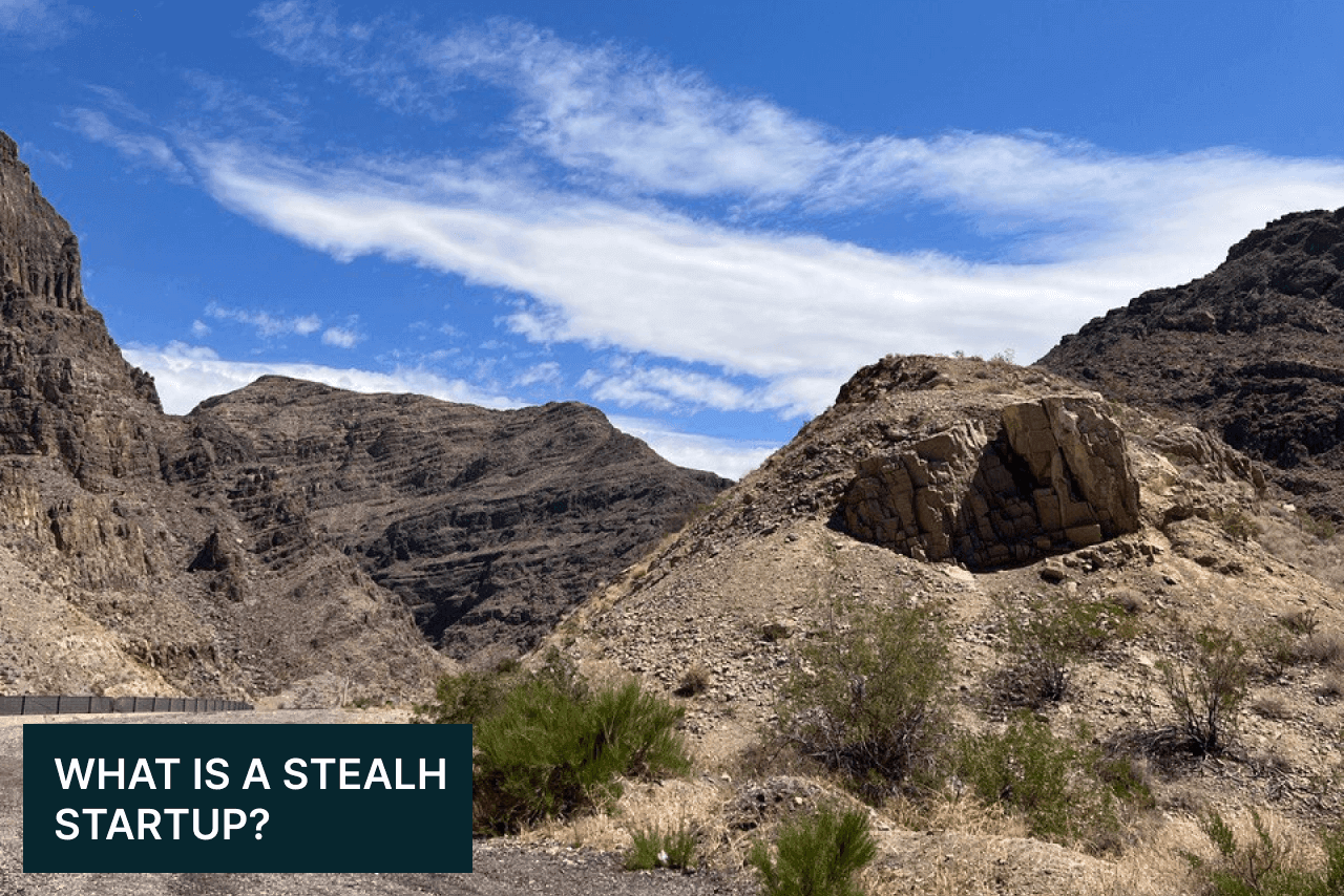 What is a Stealth Startup? Definition, Examples and Funding