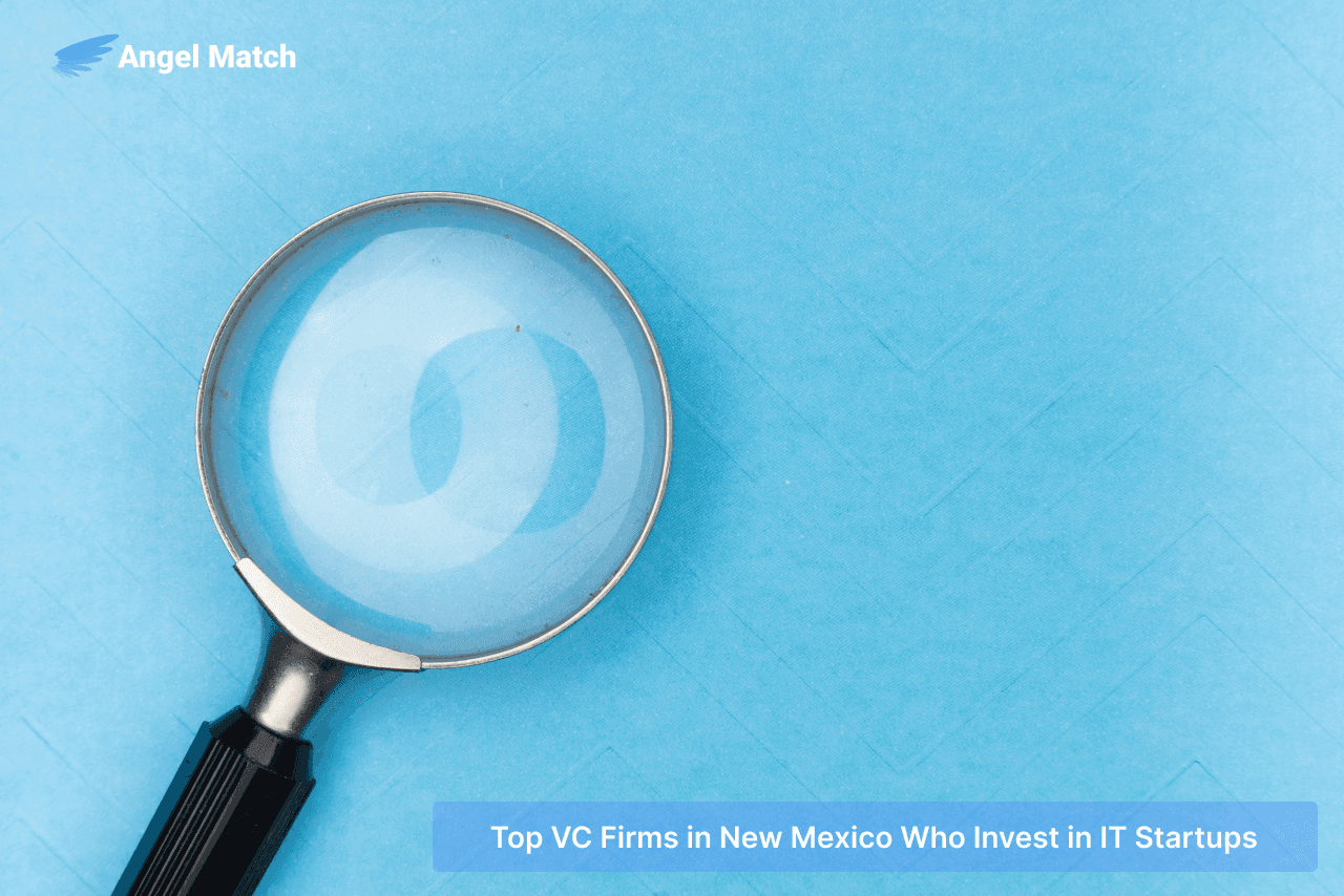 Top 8 VC Firms in New Mexico That Invest in IT Startups