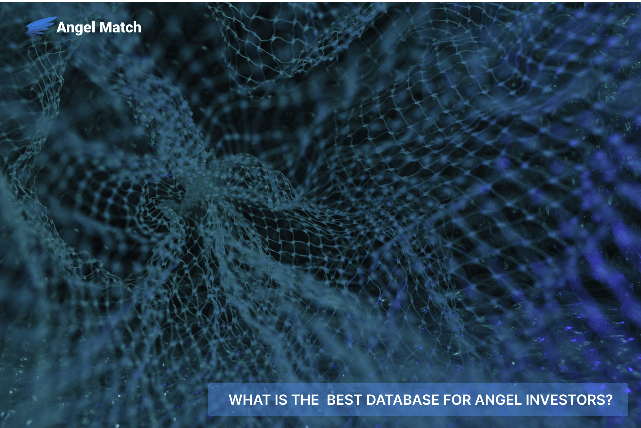 What is The Best Database for Angel Investors?
