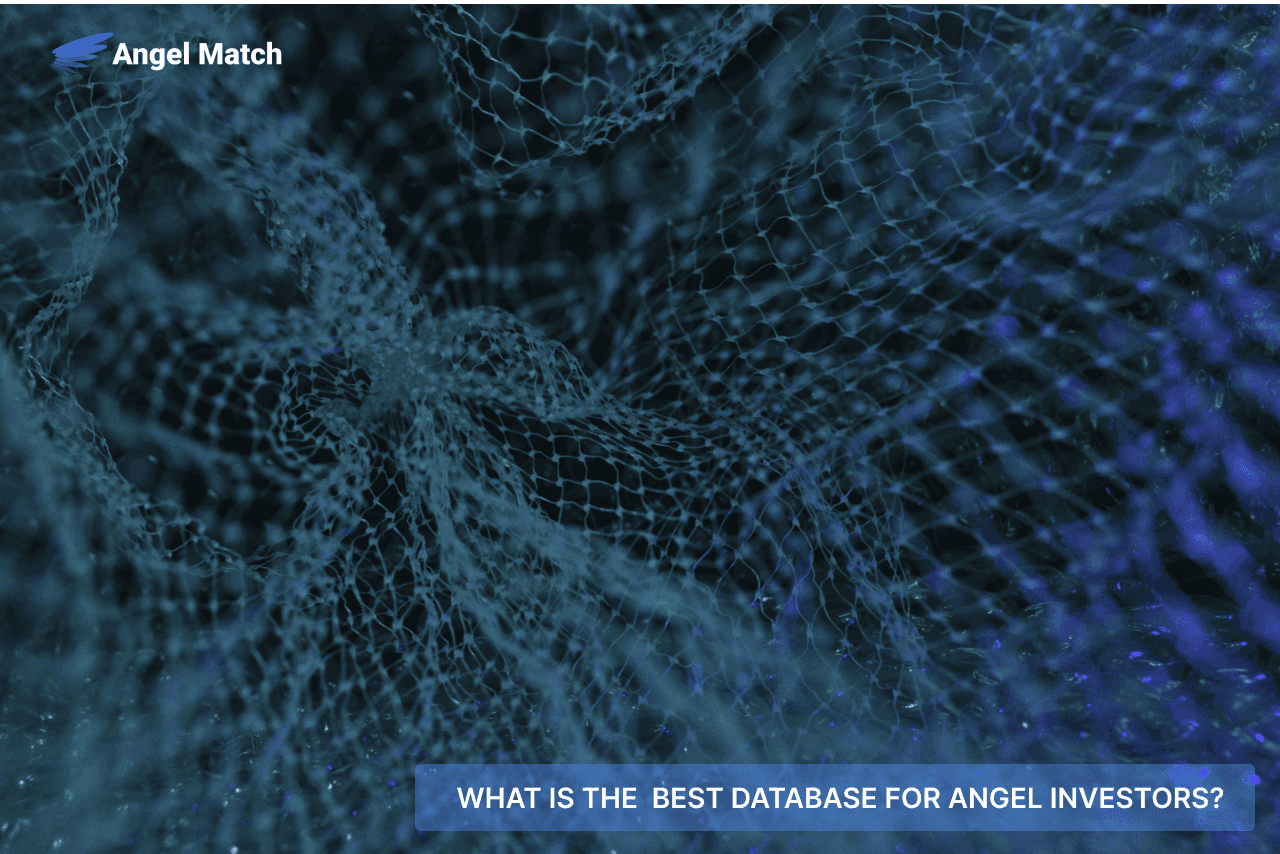 What is The Best Database for Angel Investors?
